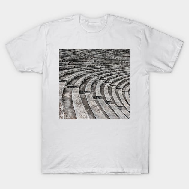 Marble Seats for your Derriere T-Shirt by BrianPShaw